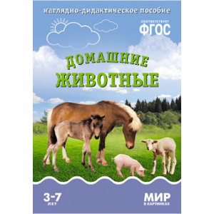 Ф_ Ф_
