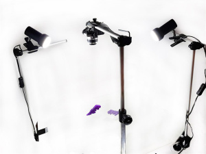 НоменклатураПрисоединенныеФайлы